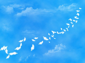 Falling Feathers Wallpaper Thewomenmenadore
