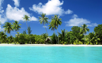 Tropical Beach Paradise