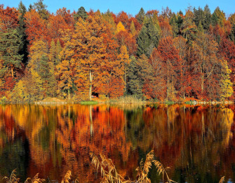 Fall Aesthetic Wallpaper