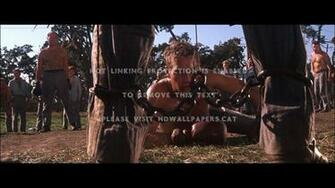 Cool Hand Luke Paul Newman Entertainment