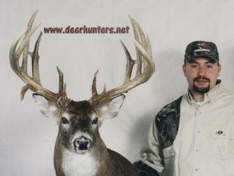 Monster Whitetail Deer Buck Wallpaper And