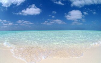 Back Beach Wallpaper Original Golden