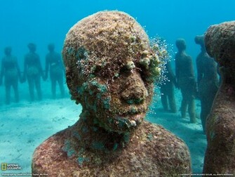 Grenada Picture Underwater Wallpaper National Geographic Photo