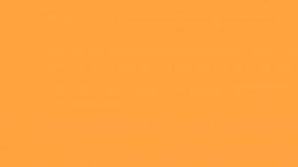 Bright Orange Wallpaper