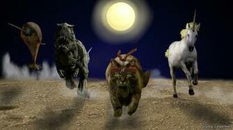 Cool Ninja Cat Wallpaper For Microsoft Windows That Will Make