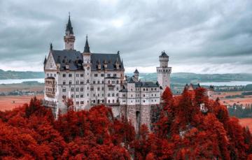 Wallpaper Castle Germany Autumn Mountain Neuschwanstein