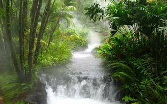 Source Url Smscs Photo Asian Html