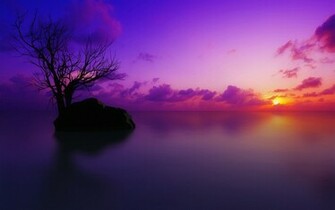 Purple Sunset Wallpaper Jpg
