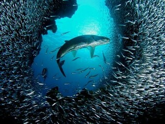 Day Best Pictures Of September Gallery National Geographic