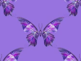 Purple Butterfly Wallpaper