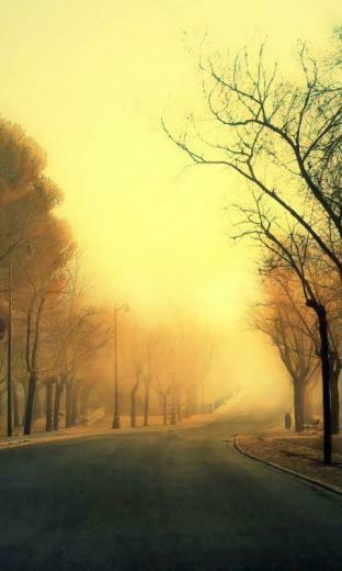 Autumn Road Nokia Lumia Wallpaper