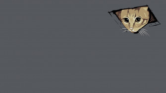 Cat Meme Wallpaper