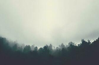 Dense Mist Over The Silhouette Of A Treeline In Pergine