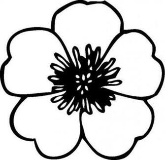Preschool Flower Coloring S