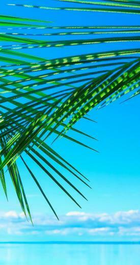 Summer Wallpaper For iPhone Picserio