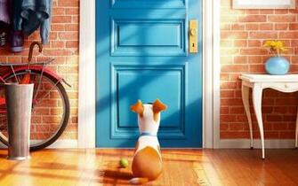Secret Life Of Pets Disney Movies Wallpaper HD