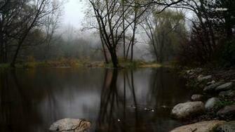 Foggy Forest Lake Wallpaper Nature