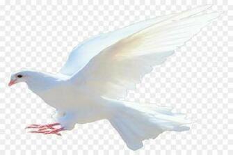 Jesus Background Png Transparent Judea