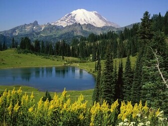 Natural Beauty Wallpaper Top HD