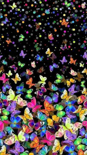 Nice Wallpaper Plano De Fundo iPhone Borboleta HD