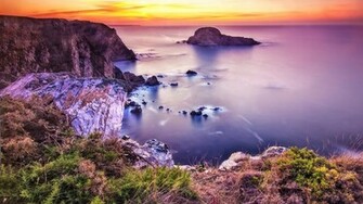 The Pink Nature Wallpaper And Image Pictures Photos