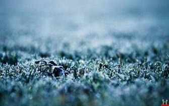 Semi Frost HD Wallpaper E Entertainment
