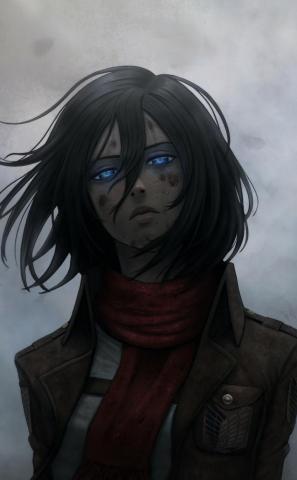 Attack On Titan Mikasa Ackerman Anime Fan Art