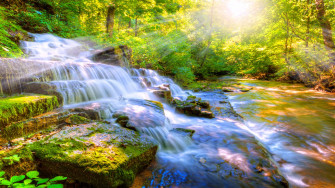 Nature Wallpaper Computer