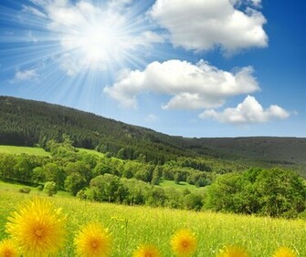 Spring Wallpaper Desktop HD