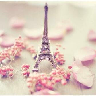 Beautiful Cute Eiffel Tower Fashion Flowers France Girl