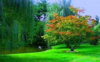 Beautiful Image Photos Pictures Wallpaper Of Nature