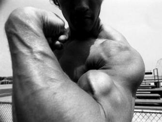 Ck1j Vkqvsws1600arnold Schwarzenegger Bodybuilding Wallpaper 33jpg