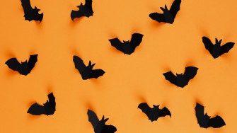 Customizable Halloween Desktop Wallpaper Templates