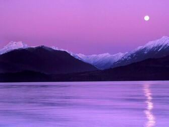 Wallpaper For Santabanta Nature Rose