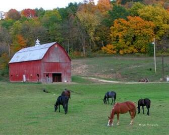 Pin Barns In Fall Desktop Wallpaper By Luisa