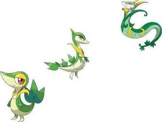 Snivy Evolution Pokemon Picture