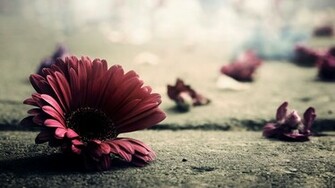 Vintage Photography High Res Background Wallpaper