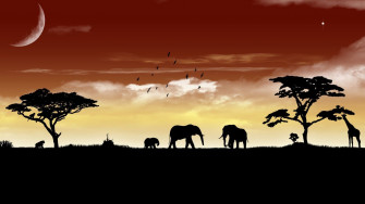 African Animals Wallpaper