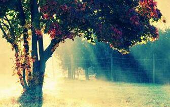 Wallpaper Hipster HD Photo Collection