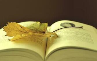 Books Wallpaper