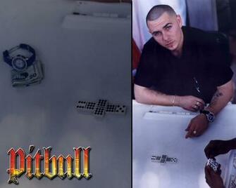 Pitbull Wallpaper Desktop Background
