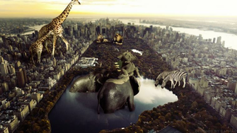 The Real Zoo York V2 By Chrism3215 Customization Wallpaper Animals