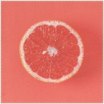 Amazon Aluy S Boutique Grapefruit Half On Living Coral