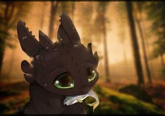 Toothless By Wikiio