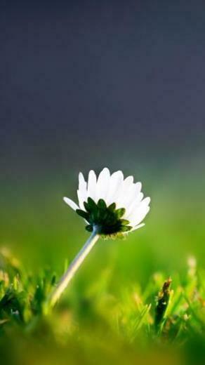 Cool Samsung Galaxy S3 Wallpaper