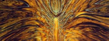 Cynic S Focus Abstract Logix