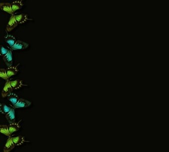 Butterflies Green Blue Black Wallpaper Background Picture And Layout