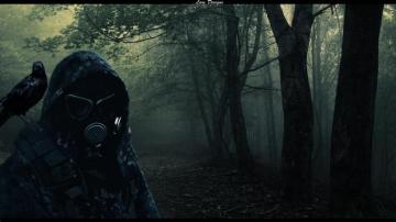 Dark Forest Pictures HD Wallpaper
