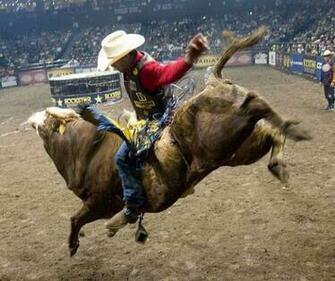 Bulls Also Command Spotlight At Pfiwestern Invitational