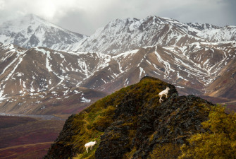 Denali 4k Wallpaper For Your Desktop Or Mobile Screen And